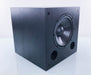 Solus SC-Richter-10 10" Powered Subwoofer