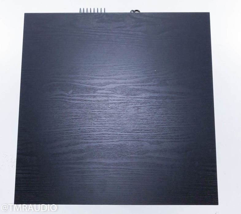 Solus SC-Richter-10 10" Powered Subwoofer
