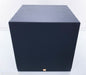 Solus SC-Richter-10 10" Powered Subwoofer