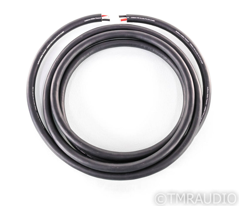 Audience Hidden Treasure In-Wall Power Cable; 12ft Mains Wiring