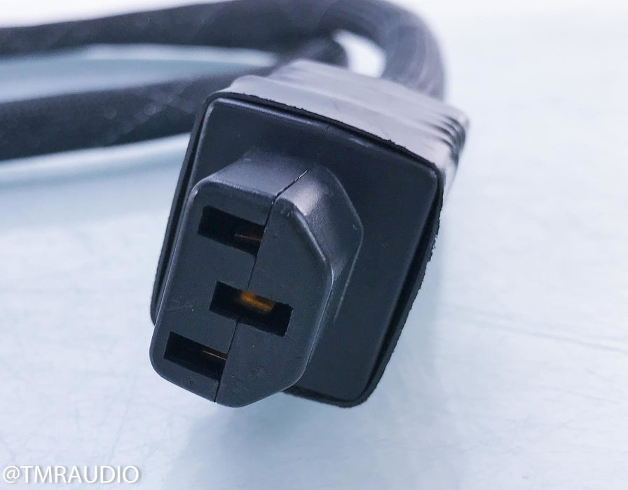 Acoustic Zen Tsunami Plus II Power Cable