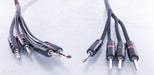AudioQuest Rocket 33 Bi-Wire Speaker Cables