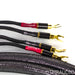 WyWires Diamond Series Speaker Cables; 8.5ft Pair