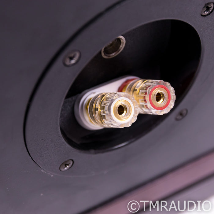 Dynaudio Contour 2.8 Floorstanding Speakers