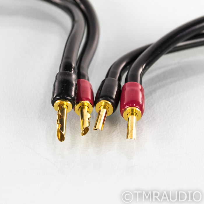 Transparent Audio MusicWave Speaker Cable; Single 4ft Cable