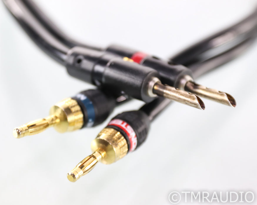 Audioquest Rocket 33 Speaker Cable; 10ft Single (Modified)