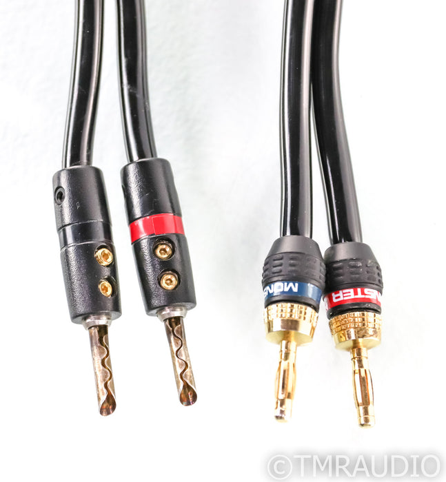 Audioquest Rocket 33 Speaker Cable; 10ft Single (Modified)