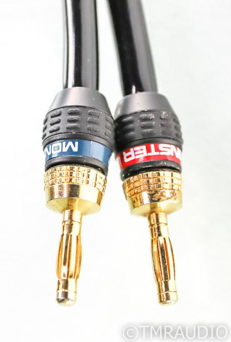 Audioquest Rocket 33 Speaker Cable; 10ft Single (Modified)