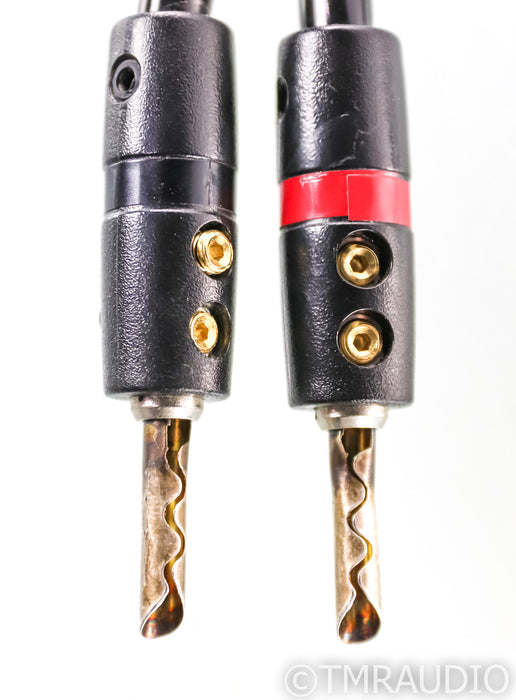 Audioquest Rocket 33 Speaker Cable; 10ft Single (Modified)