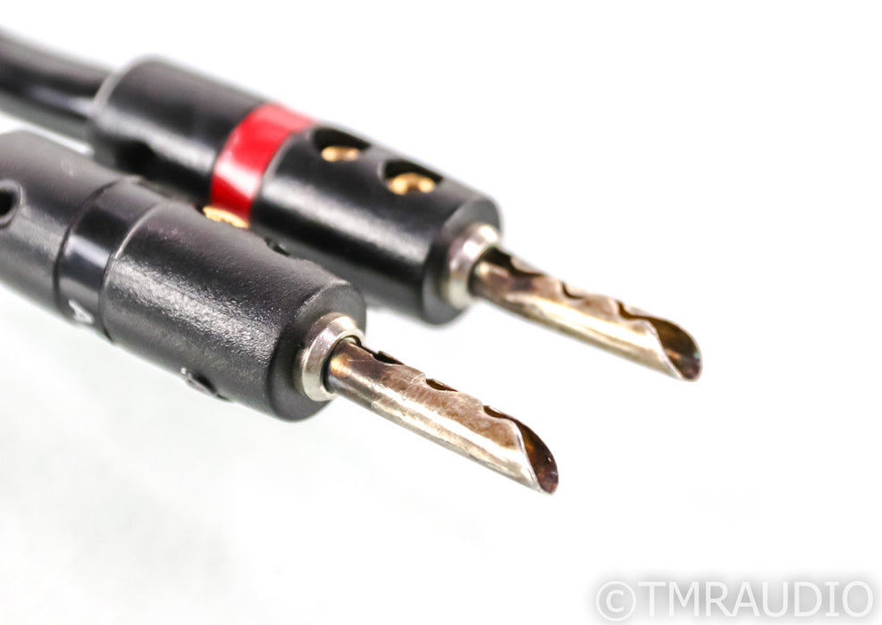 Audioquest Rocket 33 Speaker Cable; 10ft Single (Modified)