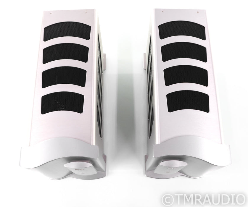 Theta Digital Enterprise Mono Power Amplifier