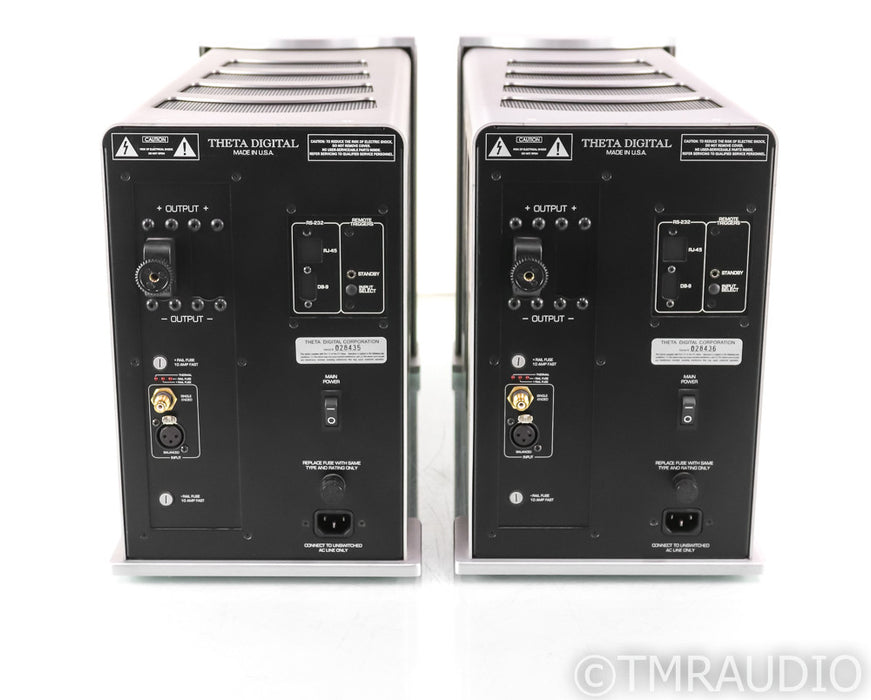 Theta Digital Enterprise Mono Power Amplifier