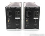 Theta Digital Enterprise Mono Power Amplifier