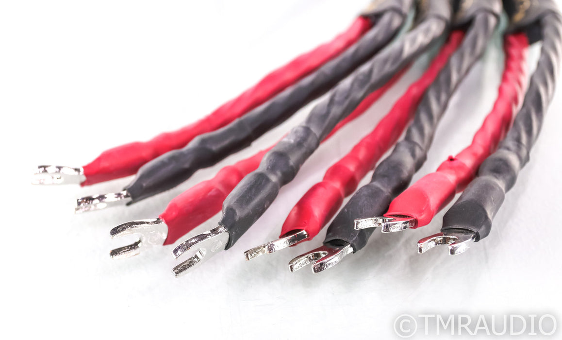 Cardas Golden Cross Speaker Cables; 2.5m Pair