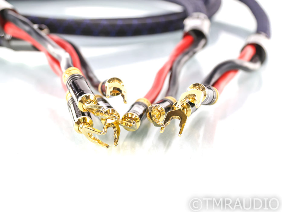 PS Audio xStream Reference Speaker Cables