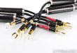 WyWires Diamond Series Speaker Cables; 9ft Pair