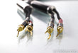 WyWires Diamond Series Speaker Cables; 9ft Pair