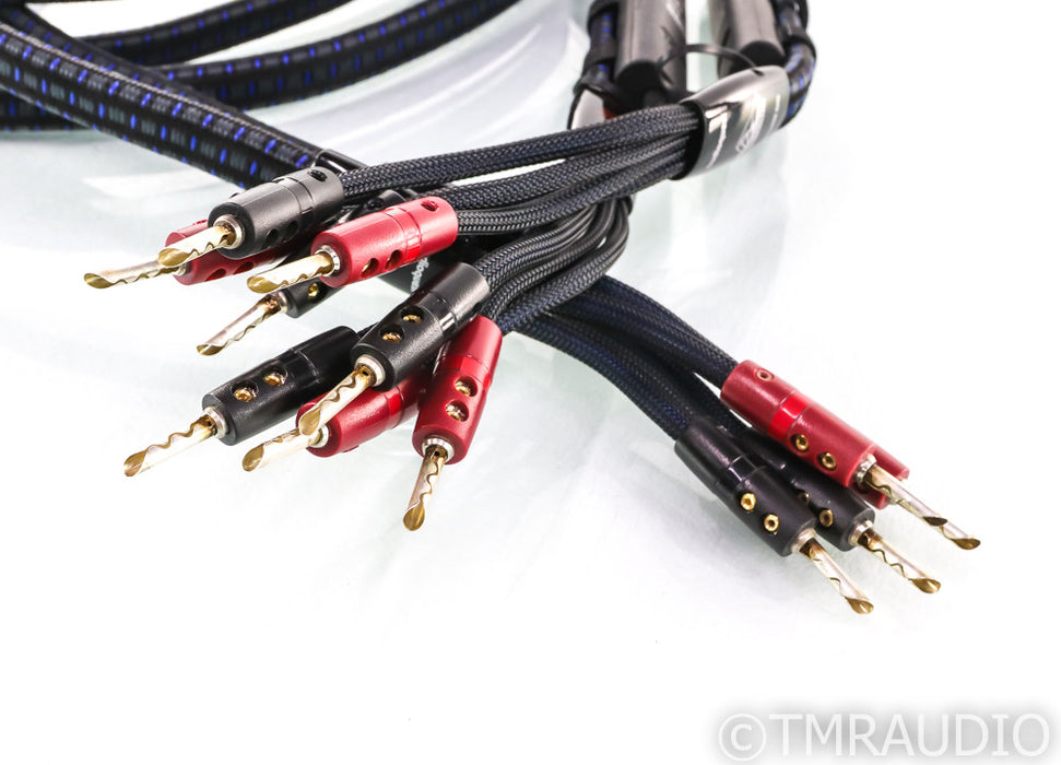 AudioQuest Gibraltar Speaker Cables; 10ft Pair; 72v DBS