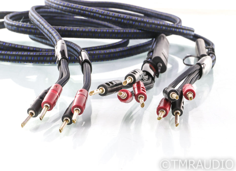 AudioQuest Gibraltar Speaker Cables; 10ft Pair; 72v DBS