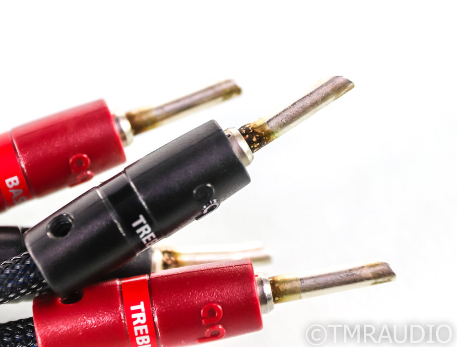 AudioQuest Gibraltar Speaker Cables; 10ft Pair; 72v DBS