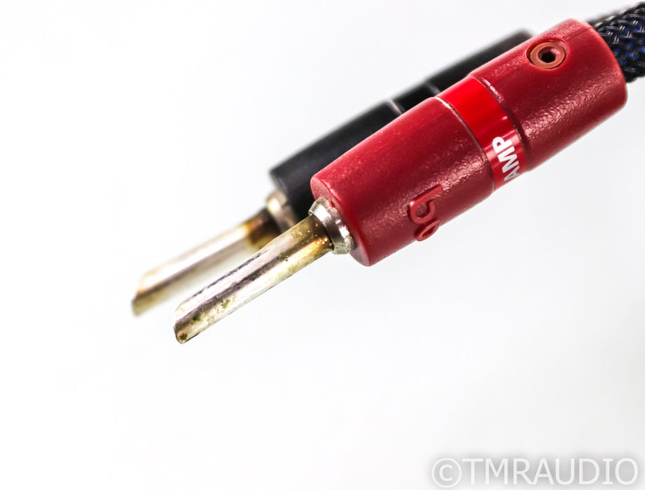 AudioQuest Gibraltar Speaker Cables; 10ft Pair; 72v DBS