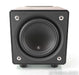 JL Audio E110 E-Sub 10" Powered Subwoofer; Black Ash w/ SVS SoundPath Feet