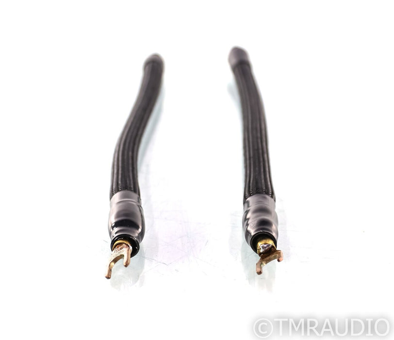Creative Cable Concepts JPT-S Pig Tails; Back EMF Reduction; Pair (1/1)
