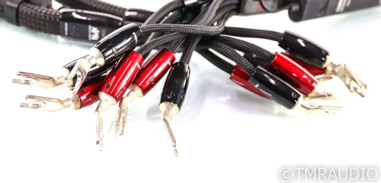AudioQuest Castle Rock Bi-Wire Speaker Cables; 5ft Pair; 72v DBS