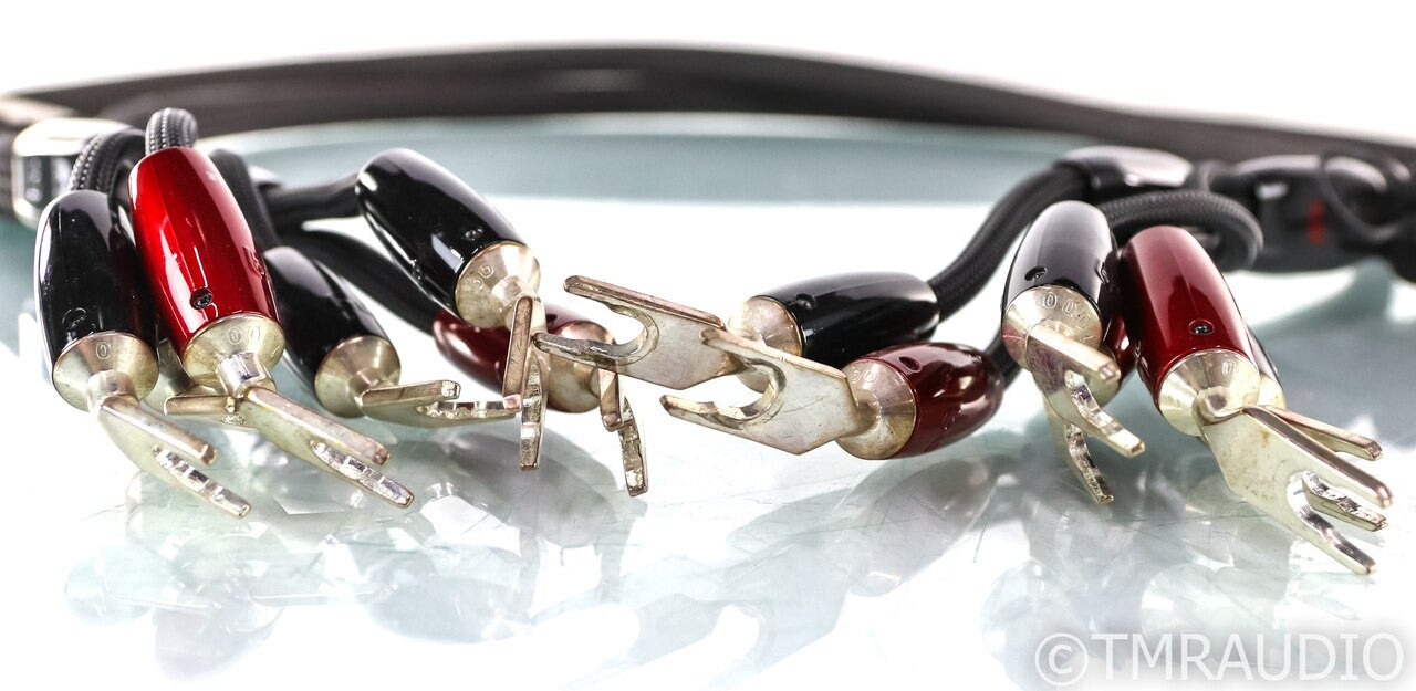 AudioQuest Castle Rock Biwire Speaker Cables; 5ft Pair; 72v DBS