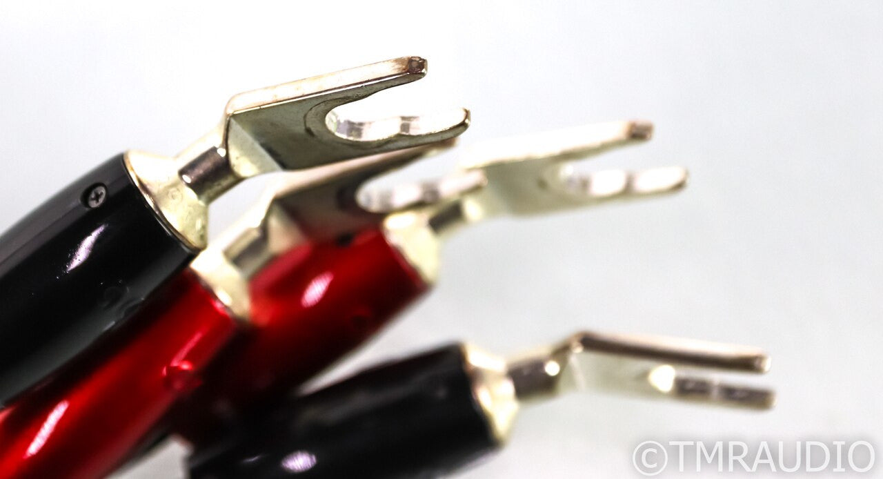 AudioQuest Castle Rock Biwire Speaker Cables; 5ft Pair; 72v DBS