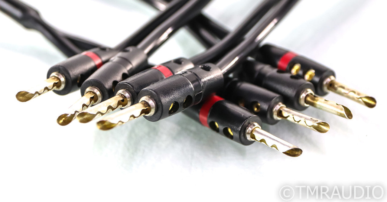 AudioQuest Type 4 Speaker Cables; 30ft Pair