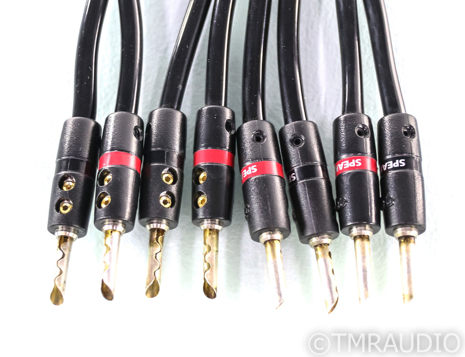 AudioQuest Type 4 Speaker Cables; 30ft Pair