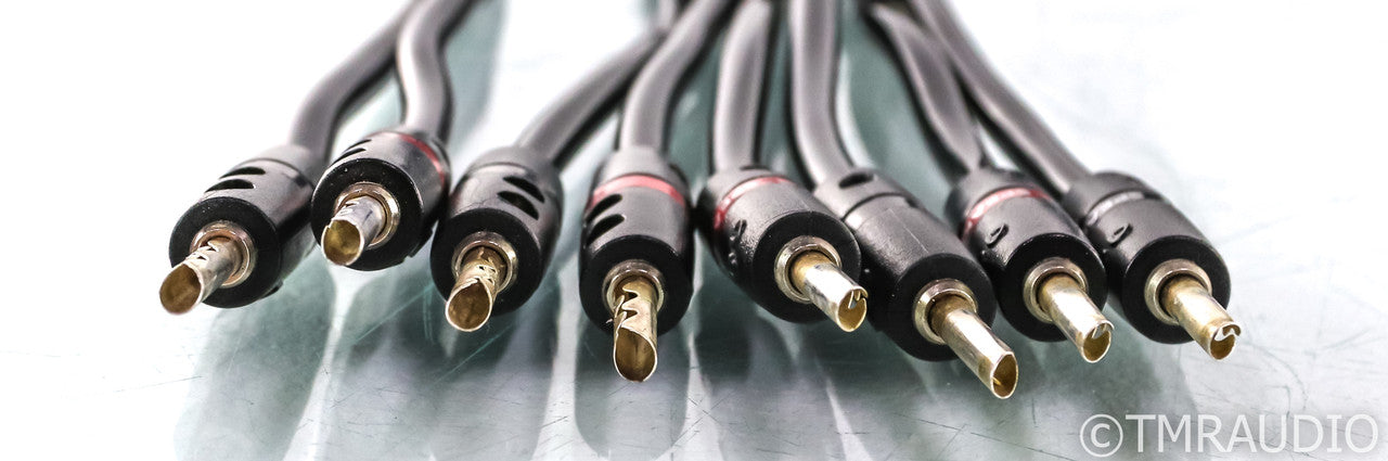 AudioQuest Type 4 Speaker Cables; 30ft Pair