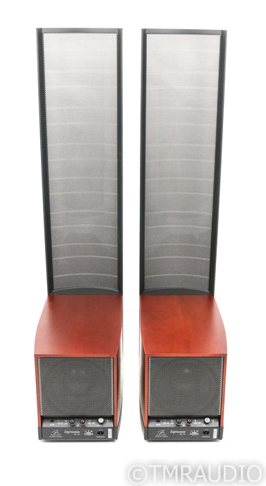 Martin Logan Expression ESL 13A Electrostatic Hybrid Speakers