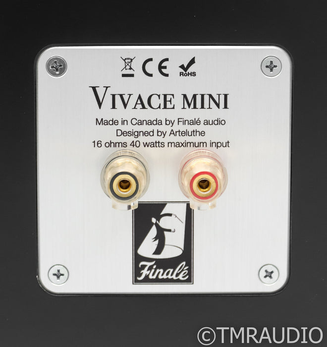 Finale Vivace Mini Floorstanding Speakers