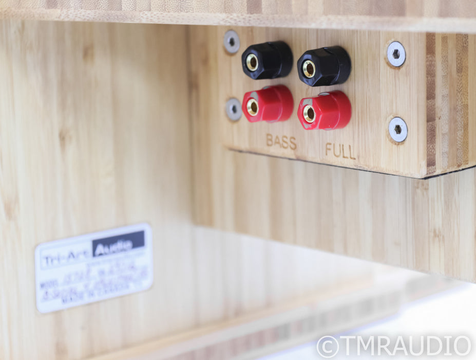 Tri-Art B Series 4 Open Baffle Speakers