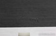 Pass Labs X0.2 Stereo / Dual Mono Preamplifier; X-0.2