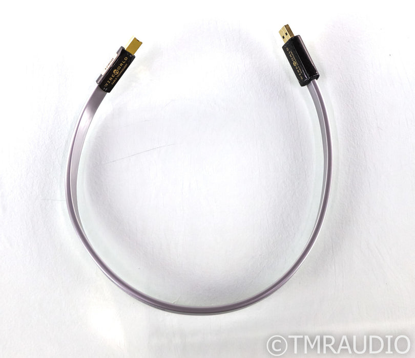 WireWorld Platinum Starlight 7 USB Cable; .5m Digital Interconnect