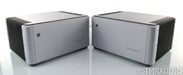 PS Audio BHK Signature 300 Mono Tube Hybrid Power Amplifier