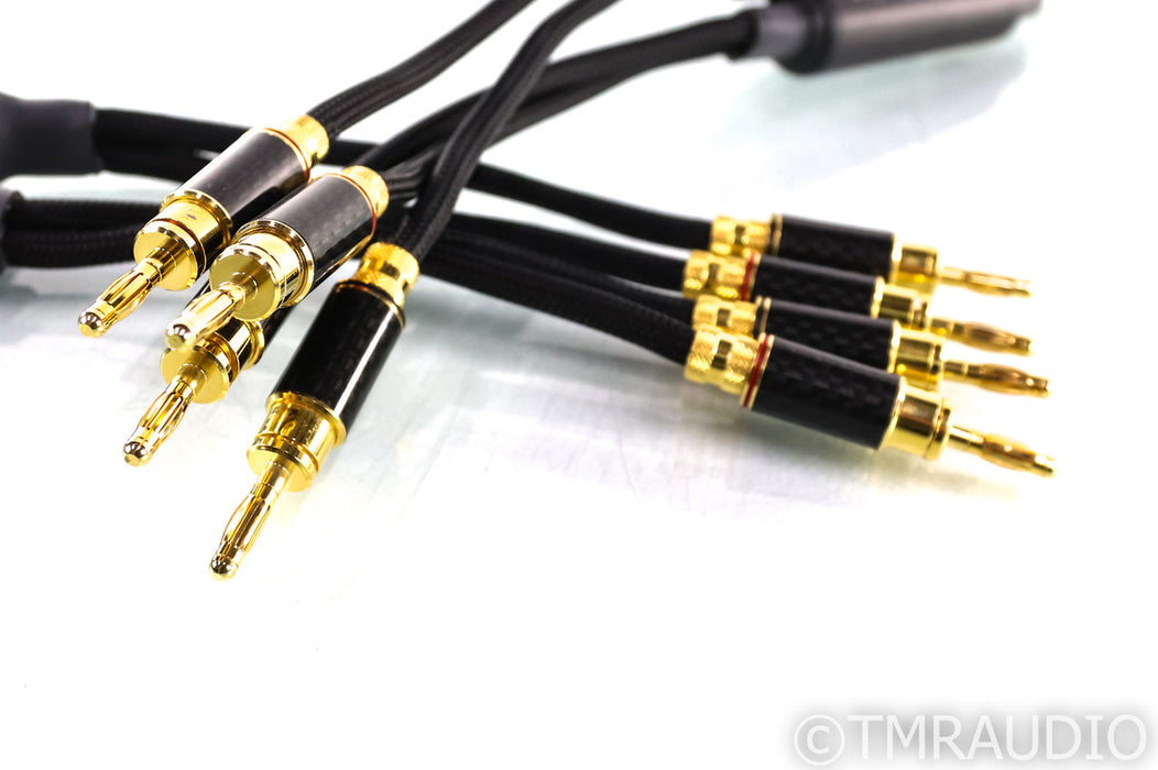 WyWires Platinum Series Speaker Cables; 8ft Pair