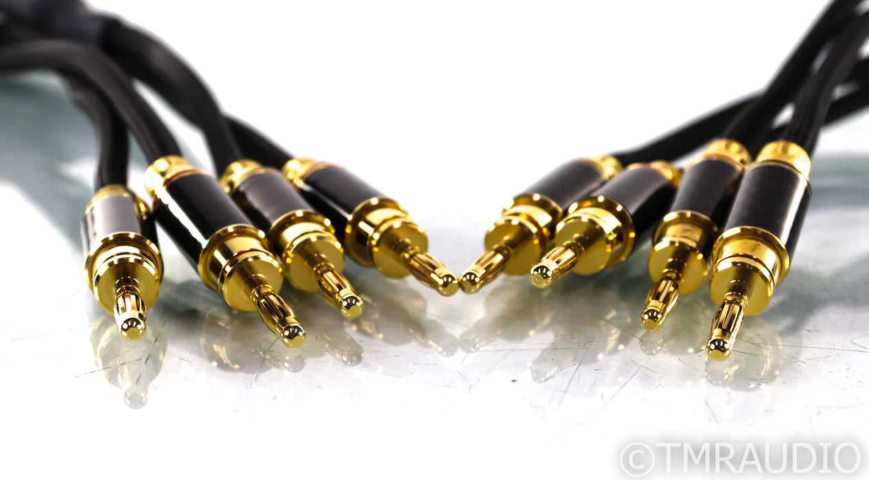 WyWires Platinum Series Speaker Cables; 8ft Pair