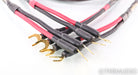 Audience Ohno III Speaker Cables; 8ft Pair