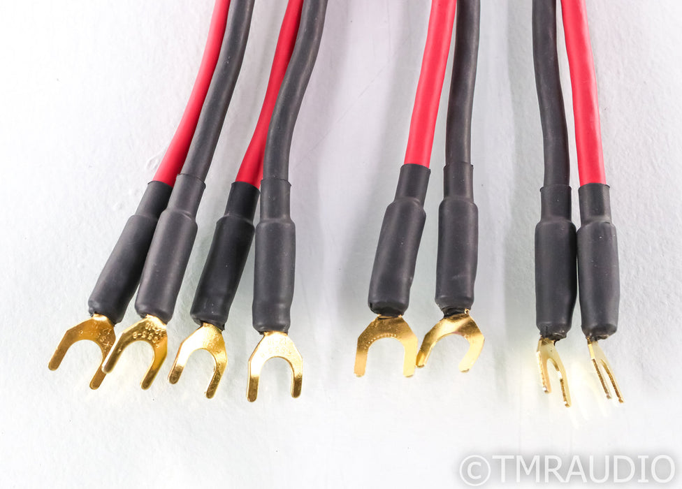 Audience Ohno III Speaker Cables; 8ft Pair