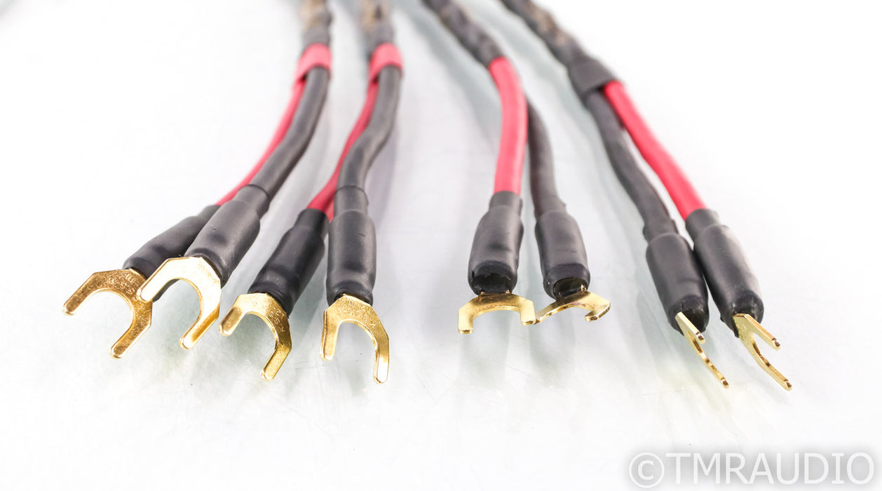 Audience Ohno III Speaker Cables; 8ft Pair