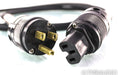 Audience Power Chord e Power Cable; 6ft AC Cord