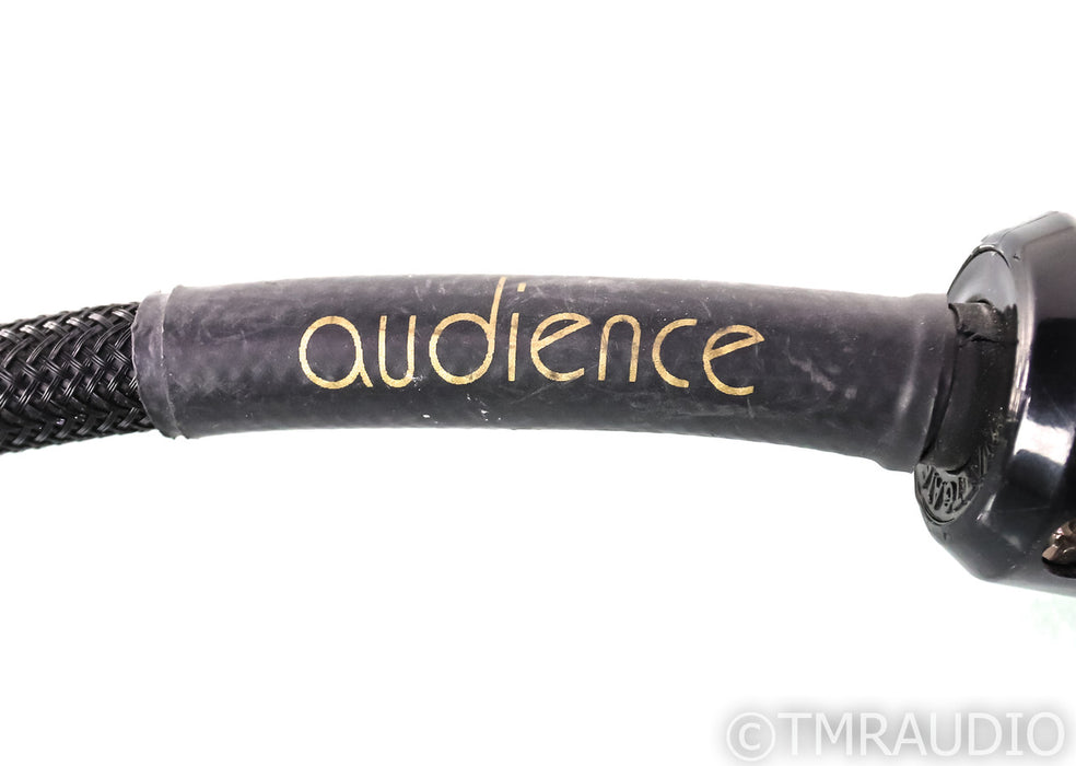 Audience Power Chord e Power Cable; 6ft AC Cord