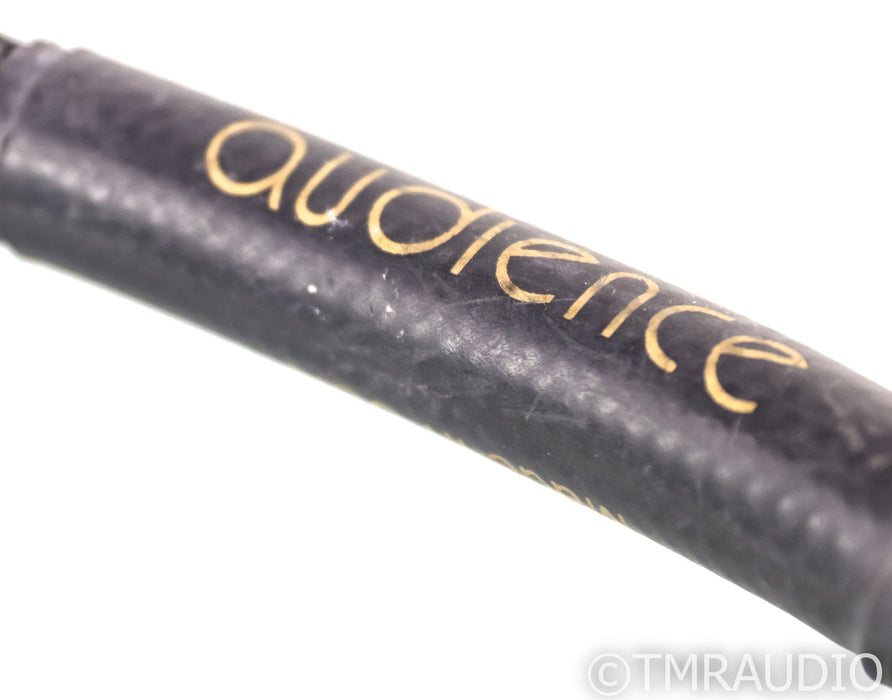 Audience Power Chord e Power Cable; 6ft AC Cord