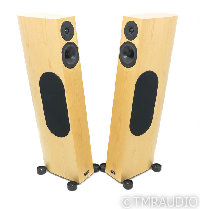 Audio Physic Tempo V Floorstanding Speakers