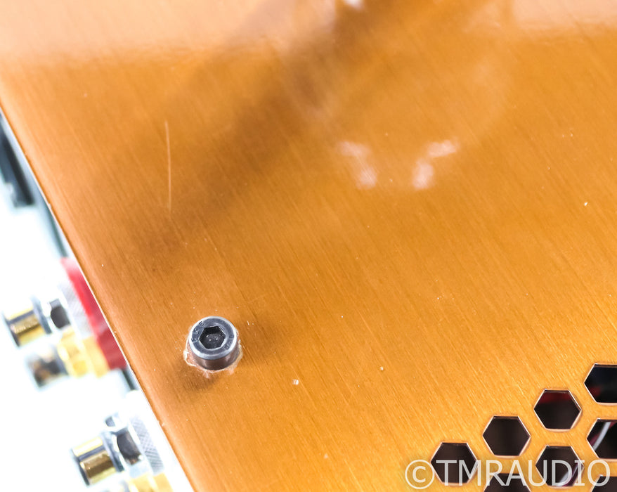 LampizatOr Golden Gate DSD Tube DAC / Preamplifier; Volume / Analog In Option