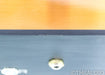 LampizatOr Golden Gate DSD Tube DAC / Preamplifier; Volume / Analog In Option
